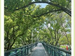 -徐家汇公园