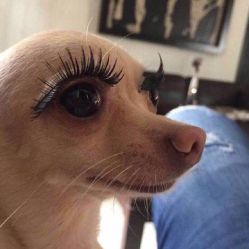 -变画·发型STUDIO