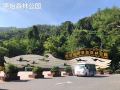 入口处广场-西双版纳原始森林公园