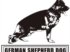 -小叮当动物医院·骨科·眼科