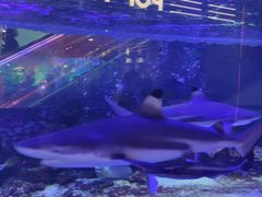 -凯德广场(学府店)