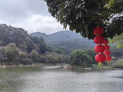 -广州市帽峰山景区