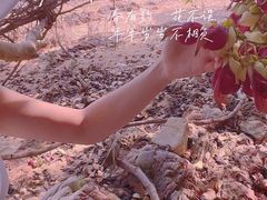 -坝光海滩