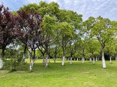 -营地公园·团建拓展·亲子户外(奉贤店)