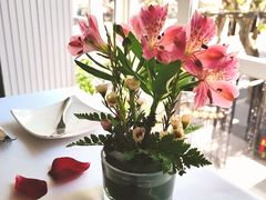 -蝶舍·MAISON PAPILLON