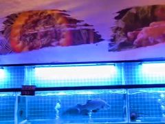 -七仙岭君澜度假酒店