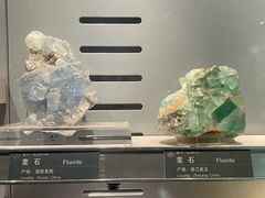-中国地质博物馆