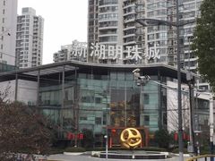-新湖明珠城