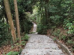 -广州市帽峰山景区