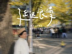 -三里屯东五街银杏大道