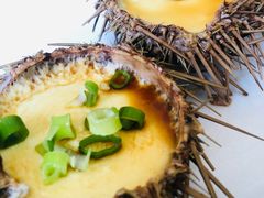 -海胆小馆(东北水饺·春柳店)