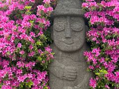 -柱状节理带