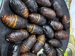 -牛牛牛酸菜煎肉店(望云寺路店)