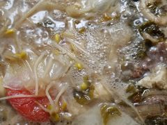 -泸州酸菜豆花火锅川师店