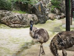 -栾川竹海野生动物园