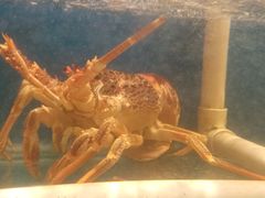 -华盛丰温州大排档(东三环南路店)