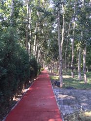 -大望京儿童游乐场