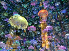 -成都梵高星空艺术馆(春熙路旗舰店)
