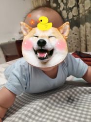 -太原市妇幼保健院(南内环院区)