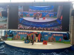 -成都浩海立方海洋公园