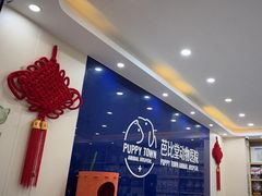 -芭比堂动物医院·24小时·眼科中心(深圳中心)
