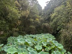 -成都杜甫草堂博物馆