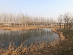 -东郊湿地公园