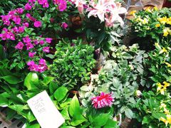 -秦美花卉(天朗·莱茵小城2期店)