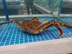 -大连湾旭日饭店(大连湾店)
