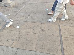 -大雁塔北广场音乐喷泉