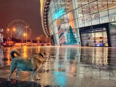 -Dragonfly 悠庭·按摩Spa(苏州中心广场店)