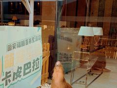 -廊坊固安福朋喜来登酒店