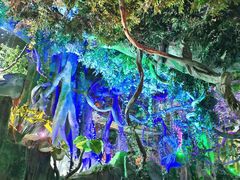 -泉城欧乐堡海洋极地世界