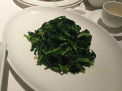 清炒豆苗-苏浙总会(国金中心店)