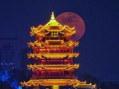 -黄鹤楼公园(黄鹤楼)