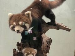 -国家自然博物馆