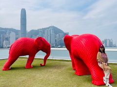 -海港城