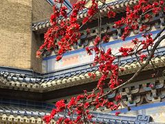 -广州中山纪念堂