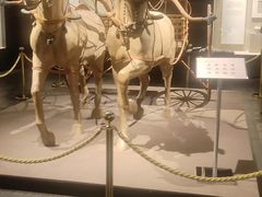 -平顶山博物馆