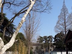 -南京中国近代史遗址博物馆(南京总统府)