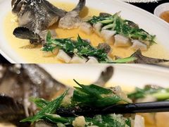 -南海渔村(珠江新城店)