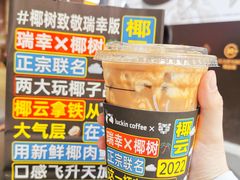 -瑞幸咖啡(东方广场中庭店)
