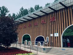 -秦皇岛野生动物园