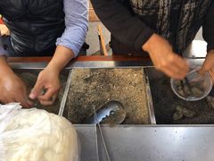 -叶氏麻糍(鼓浪屿店)