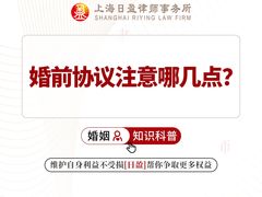 -上海日盈律师事务所·法律咨询