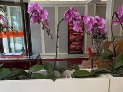 -天天渔港(杏林街店)