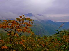 -华蓥山天意谷景区