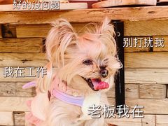 -Catch Bagel(芳草地店)