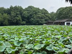 -兰亭风景区