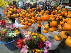 -循礼门鲜花花市(武汉循礼门店)